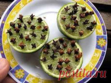 ❀ Салаты на каждый день. Рецепты с углём. Диета по Зодиаку. Средства от комаров. Целитель-лук. Огурцы всё лето // Кусочек Постилы к чаю! - Почта Mail.Ru