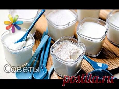 Как выбрать закваску. Лучшие советы «Все буде добре» от 07.12.15 - YouTube | ELEVRUS – Пассивный доход – Живите с комфортом! https://elevrus.com/ref/ramila/