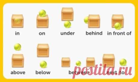 УЧИМ  АНГЛИЙСКИЙ
300 первых слов. 24 смысловые группы.
please (плиз) - пожалуйста, прошу. sorry (сори) - извините
you are welcome (ю а вэлкам) - пожалуйста, не за что
hello (хэллоу) - здравствуйте. hi (хай) - привет
goodbye (гудбай) - до свидания, пока. see you (cи ю) - увидимся
yes (да) - да. no (ноу) - нет. not (нот) - не
this (зис) - этот. that (зэт) – тот
name (нэйм) - имя. address (эдрэс) - адрес
phone number (фоун намбэр) - номер. age (эйдж) - возраст
married (мэррид) - женатый, замужня