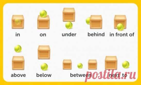 УЧИМ  АНГЛИЙСКИЙ
300 первых слов. 24 смысловые группы.
please (плиз) - пожалуйста, прошу. sorry (сори) - извините
you are welcome (ю а вэлкам) - пожалуйста, не за что
hello (хэллоу) - здравствуйте. hi (хай) - привет
goodbye (гудбай) - до свидания, пока. see you (cи ю) - увидимся
yes (да) - да. no (ноу) - нет. not (нот) - не
this (зис) - этот. that (зэт) – тот
name (нэйм) - имя. address (эдрэс) - адрес
phone number (фоун намбэр) - номер. age (эйдж) - возраст
married (мэррид) - женатый, замужня