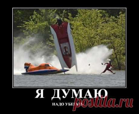 MHaN2khWiG0.jpg (485×400)