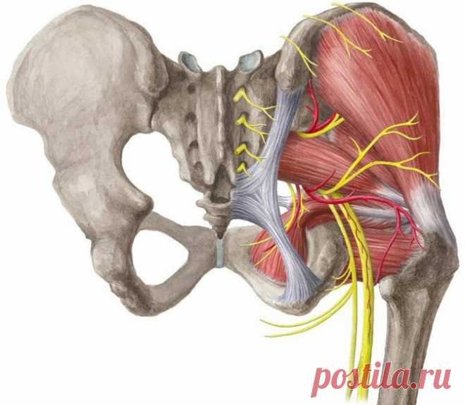 Эффективное упражнение для снятия болей в пояснице. Развиваем подвижность тазобедренного сустава лежа на кровати. | health and beauty | Яндекс Дзен