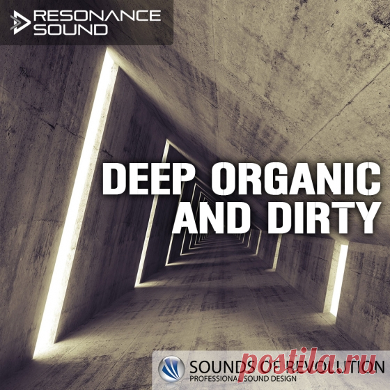 Resonance Sound SOR Deep Organic and Dirty WAV  | 944 MB
Oliver Schmitt aka SOUNDS OF REVOLUTION (SOR) continues his highly acclaimed sample series distributed by Resonance Sound – this time with feeling!

Download at:

https://audioclub.store/uncategorized/resonance-sound-sor-deep-organic-and-dirty-wav/