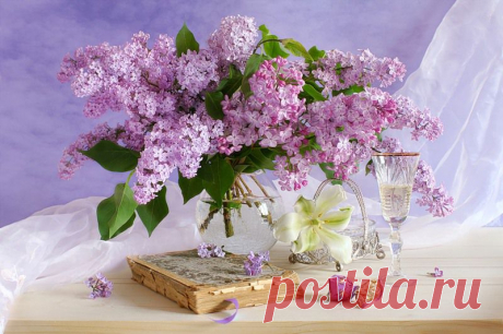Замечательная сирень