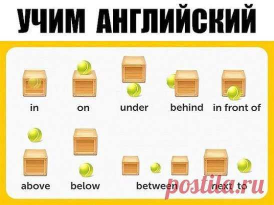 УЧИМ  АНГЛИЙСКИЙ
300 первых слов. 24 смысловые группы.
please (плиз) - пожалуйста, прошу. sorry (сори) - извините
you are welcome (ю а вэлкам) - пожалуйста, не за что
hello (хэллоу) - здравствуйте. hi (хай) - привет
goodbye (гудбай) - до свидания, пока. see you (cи ю) - увидимся
yes (да) - да. no (ноу) - нет. not (нот) - не
this (зис) - этот. that (зэт) – тот
name (нэйм) - имя. address (эдрэс) - адрес
phone number (фоун намбэр) - номер. age (эйдж) - возраст
married (мэррид) - женатый, замужня
