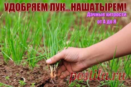 (7) Одноклассники
