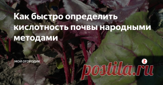 Как быстро определить кислотность почвы народными методами Кислотность почвы – важный фактор, знание которого поможет многим огородникам в выращивании урожая. Именно от этого показателя зависит, как будут чувствовать себя наши фрукты и овощи. Растения предпочитают слабокислые, нейтральные или слабощелочные почвы. Высокий уровень кислотности или содержания щелочи неизменно приведет к плохому развитию любых культур.
Какие культуры, какую почву любят?
Слабок