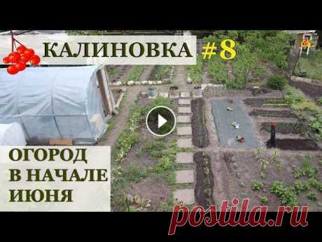 Огород в начале июня / КАЛИНОВКА Канал Натали и Ко Посевная практически окончена! Засадила весь огород... Но вошло не всё:( #Аленин_сад #огород #gardening...