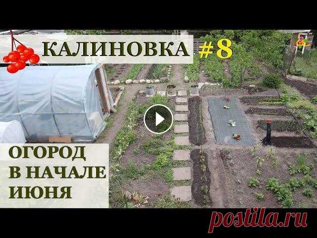 Огород в начале июня / КАЛИНОВКА Канал Натали и Ко Посевная практически окончена! Засадила весь огород... Но вошло не всё:( #Аленин_сад #огород #gardening...