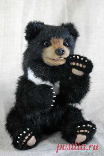гималайский медведь крючком: 2 тыс изображений найдено в Яндекс Картинках