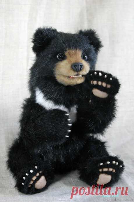 гималайский медведь крючком: 2 тыс изображений найдено в Яндекс Картинках