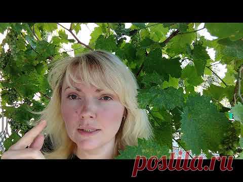 Руководство к первому уроку