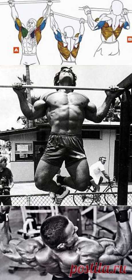 Подтягивания на турнике, техника выполнения | Sport My Way | Sport - My Way