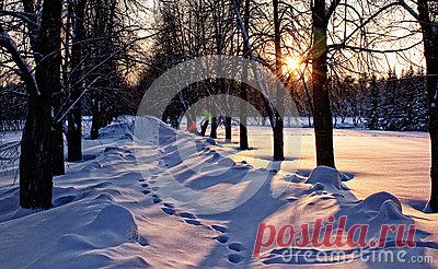 Stock Photos, Royalty-Free Images & Video Footage By Dreamstime Stock Photography