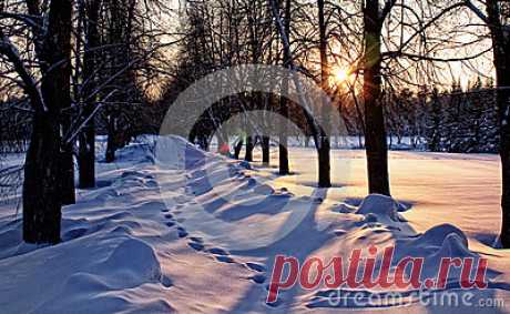 Stock Photos, Royalty-Free Images & Video Footage By Dreamstime Stock Photography
