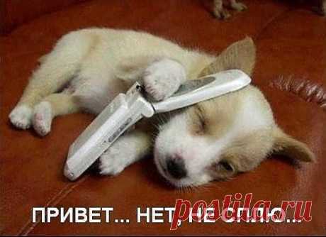 Группа: Смех до слез!