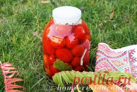 Соленые помидоры на зиму | Домашний Ресторан