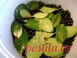 Напиток из черноплодной рябины на зиму