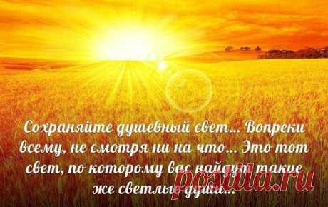 Мои закладки