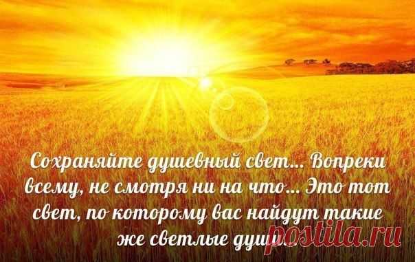 Мои закладки