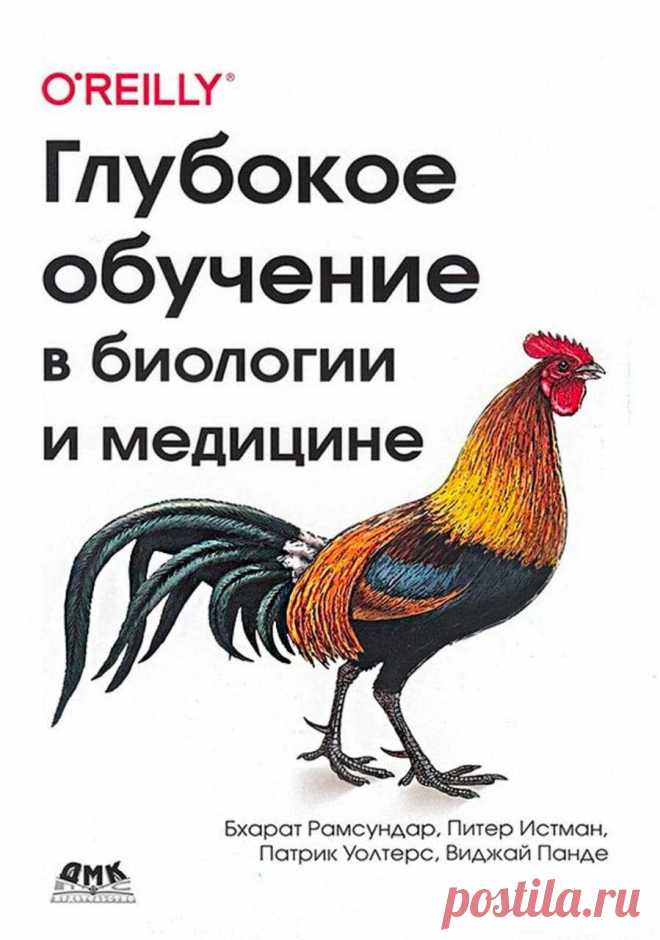 Учебники для программистов