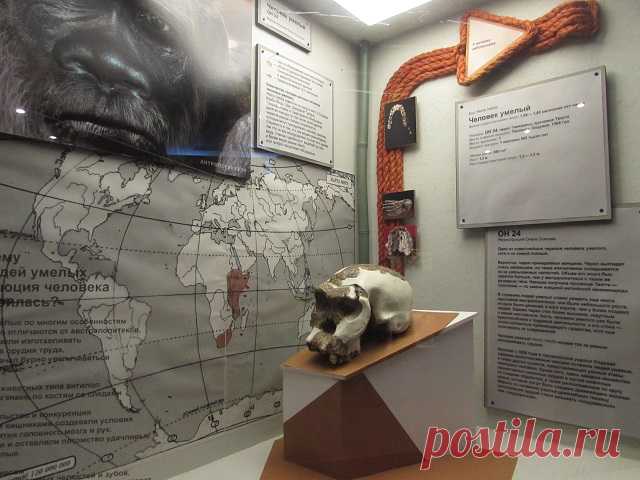 Уникальная выставка в «Кварках» | "Кварки" Музей занимательных наук