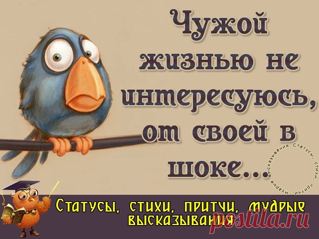 Лезть в чужую жизнь - это удел глупых и завистливых людей, у которых в своей жизни ничего не получается.