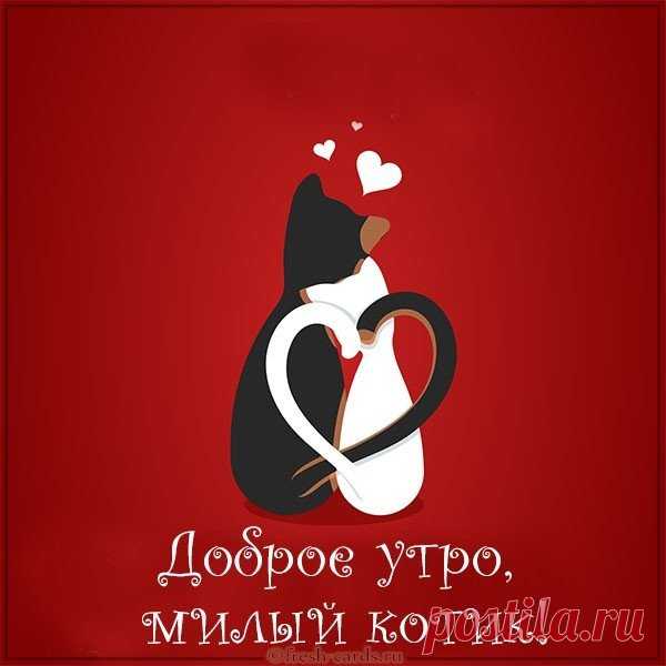 Доброе утро! Вставай поскорее.
Миру открыто сейчас улыбнись.
Жизнь пусть счастливее станет, полнее,
Ты ею смело вовсю насладись!