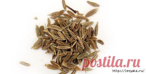 Монгольский рецепт лечения ангины - выздоровление за 4 часа!