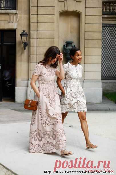 Сухоцвет от Валентино.