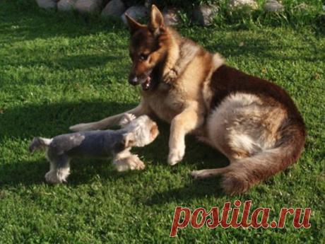 (2) Сергеи Павлов