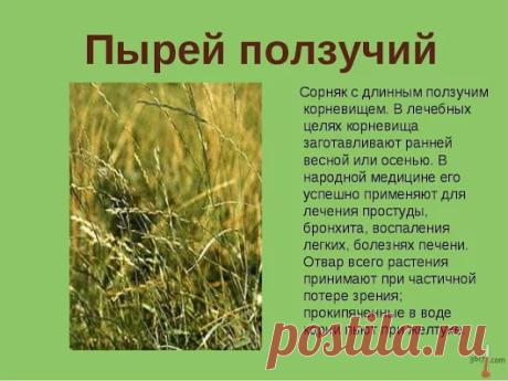 Популярное – Google+