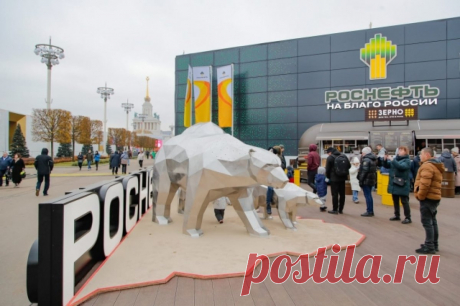 Только надень VR-очки. В павильоне «Роснефти» можно стать нефтяником. На международной выставке-форуме «Россия» на ВДНХ открылся павильон «Роснефти». Его экспозиция рассказывает о становлении нефтяной отрасли нашей страны и о самой компании.
