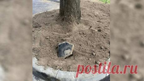Спальный район в Москве "благоустроили" землей с обломками могильных плит. В московском районе Чертаново в рамках благоустройства придомовых территорий во дворах многоквартирных домов использовали в качестве насыпного грунта землю с обломками надгробий. Фото- и видеодоказательства местные жители опубликовали в ...