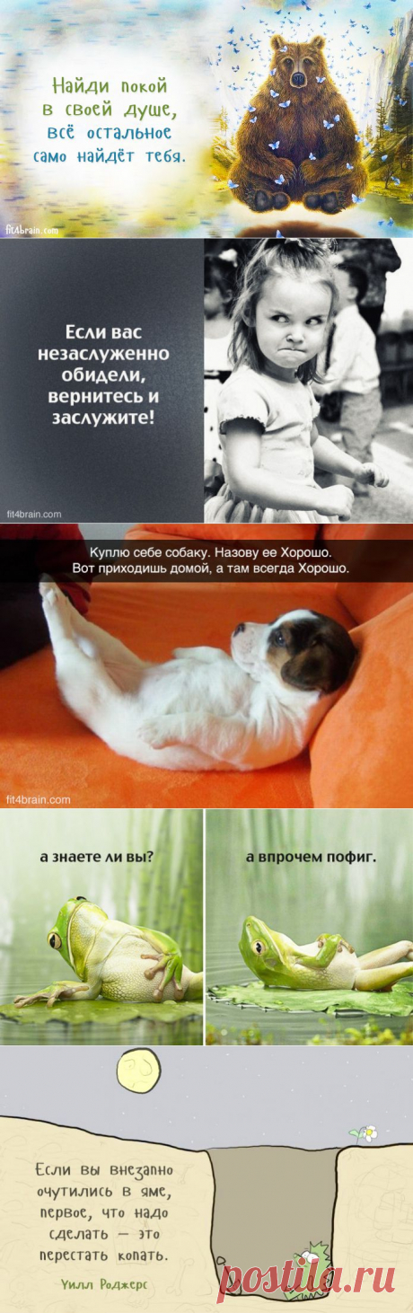 Советы дня | Полезные советы