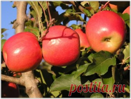 8 лучших продуктов для здоровья суставов