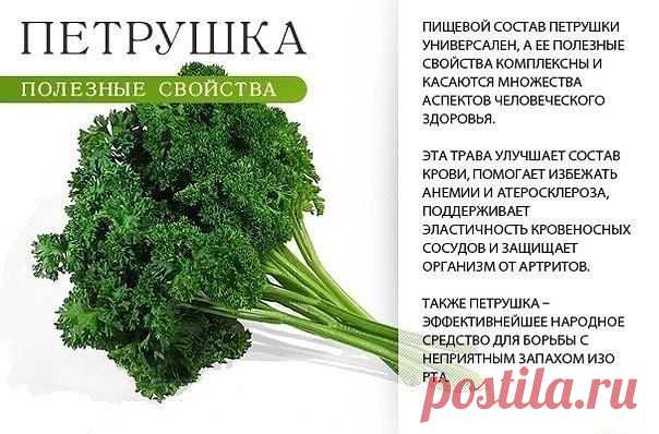 ТОП-9 самых полезных пряных трав! - rastimul.com.ua