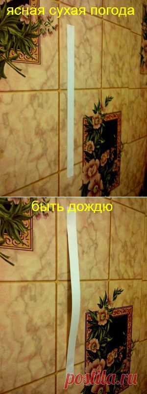 Простой и точный барометр | Самоделкино