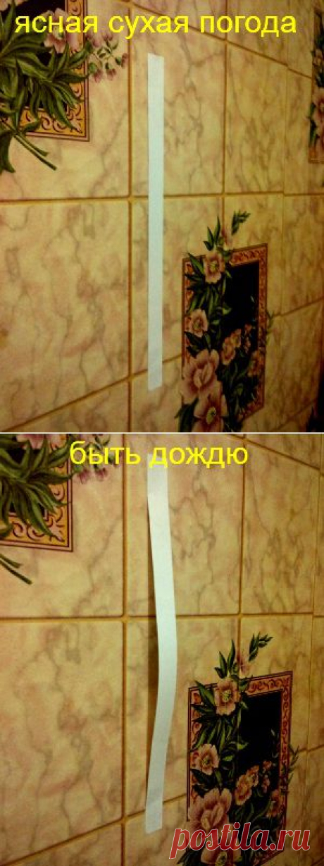 Простой и точный барометр | Самоделкино