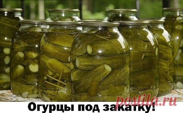 Одноклассники