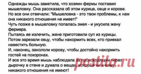 Что имеет к тебе отношение? Притча | Пропорции счастья