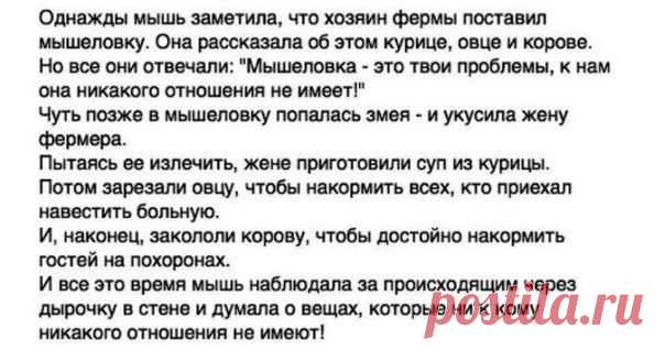 Что имеет к тебе отношение? Притча | Пропорции счастья