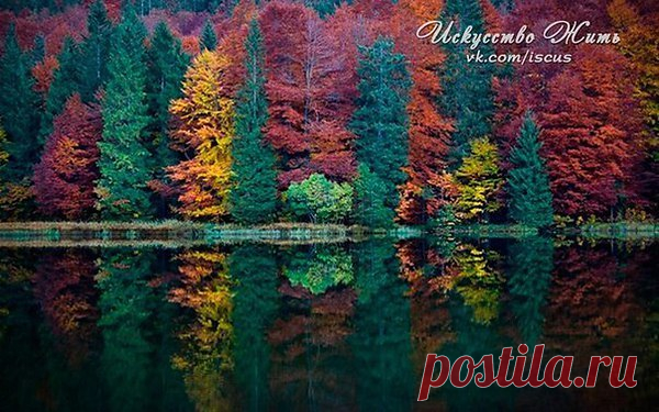 Интересные новости