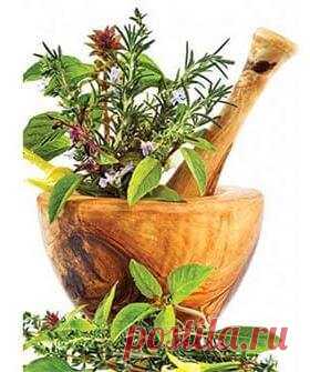 Как быть красивой круглый год - Easy Life