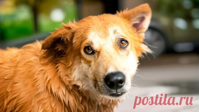 Спасибо, Друг! - OGADANIE.RU