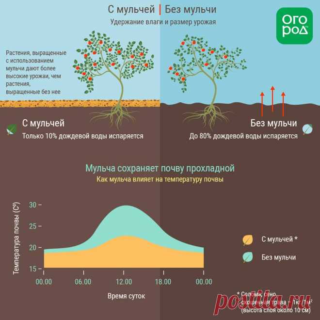 Зачем мульчировать почву