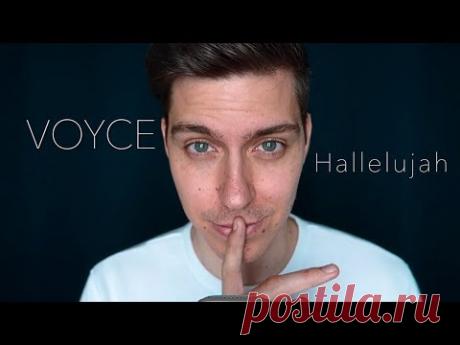 HALLELUJAH auf DEUTSCH | German Version by Voyce - YouTube