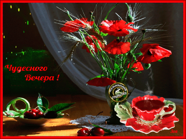 (11) Мой Мир@Mail.Ru