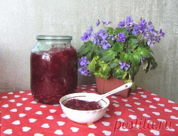 Польза китайского лимонника / Будьте здоровы