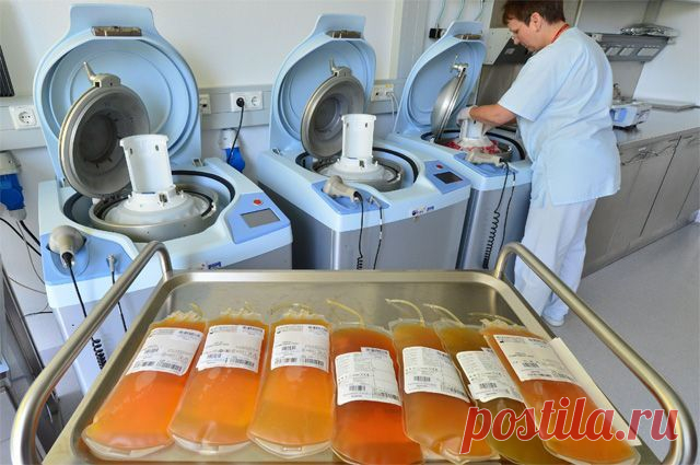 Переливание крови: зачем оно нужно и чем опасно / Будьте здоровы